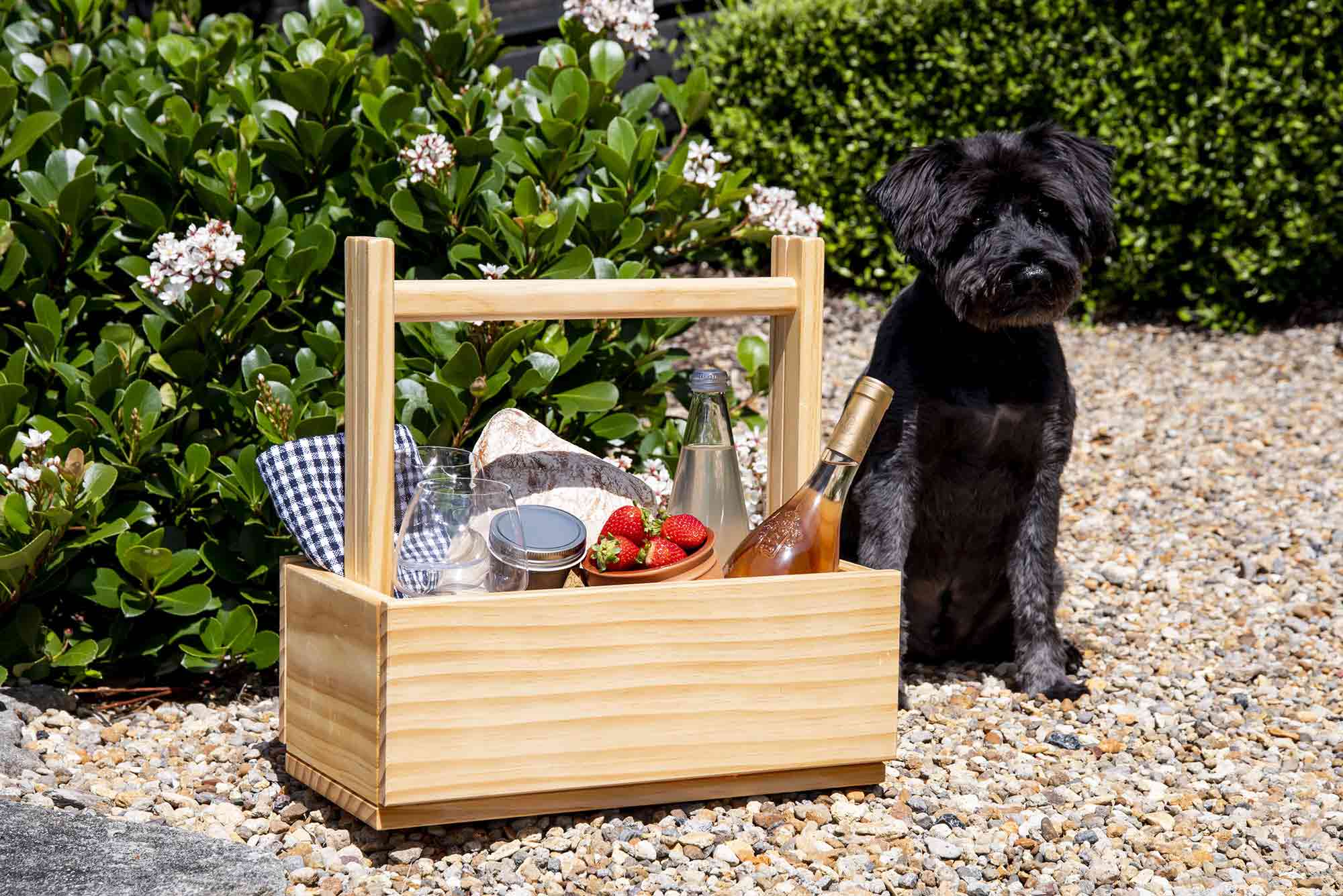Convertible Storage Box