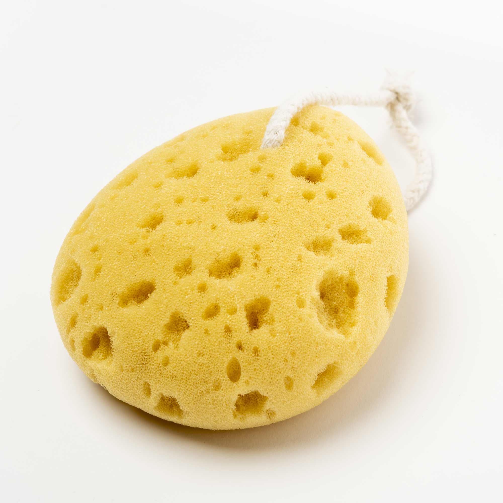 Yellow sponge with a white string on a white background. Victoria James Bath Sponge